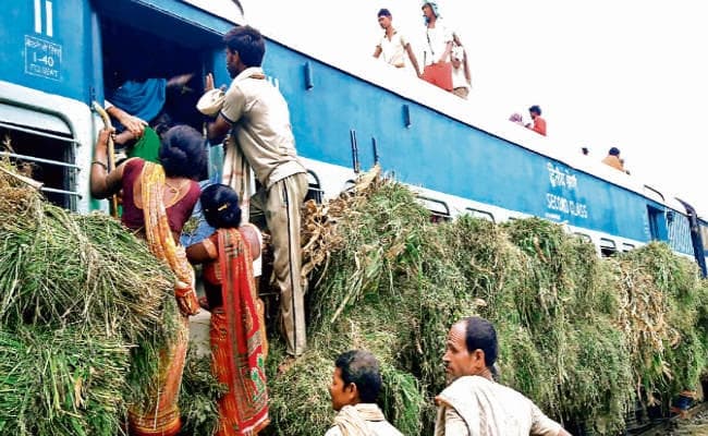 बाढ़ की मार : ....जब समस्तीपुर-खगड़िया रेलखंड पर चला ‘चारा एक्सप्रेस’