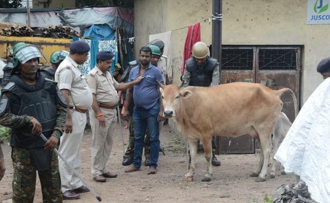 #Jharkhand : जमशेदपुर में बंद बूचड़खाने और अन्य जगहों पर छापामारी, 45 मवेशी जब्त, एक गिरफ्तार