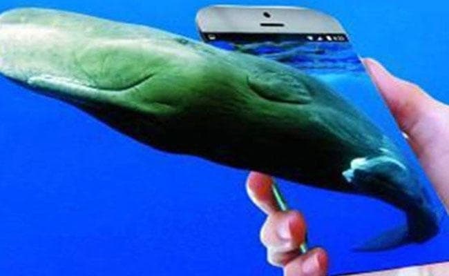 सहरसा : सिमरी के रायपुरा तक पहुंची ब्लू व्हेल गेम