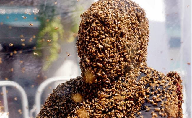 जब इस व्‍यक्ति ने मधुमक्खी का छत्ता पहन बनाया वर्ल्ड रिकॉर्ड