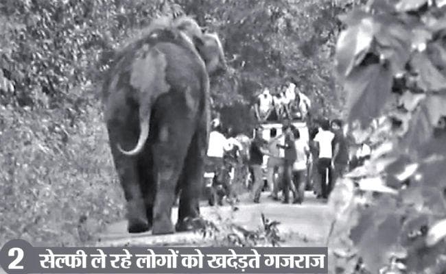 जलपाईगुड़ी : जब सेल्फी लेने की होड़ से भड़के गजराज