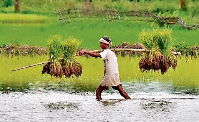 छोटे कदमों से बड़े बदलाव