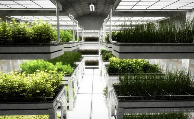 ''मंगल की मिट्टी'' से पता चल सकेगा कि ग्रह पर कैसे उगेंगी साग-सब्जियां