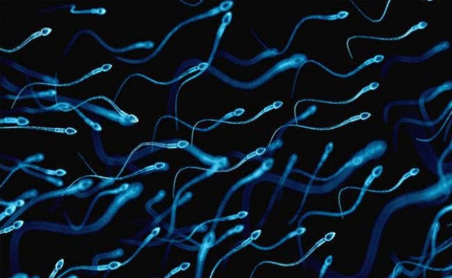 Breakthrough: शुक्राणु के आकार वाले रोबोट हमारे शरीर में पहुंचायेंगे दवाइयां