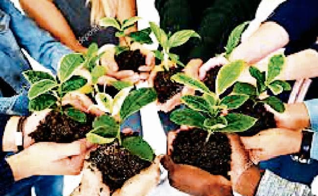 रांची : ऑर्गेनिक खेती होगा ग्लोबल एग्रीकल्चर समिट का थीम