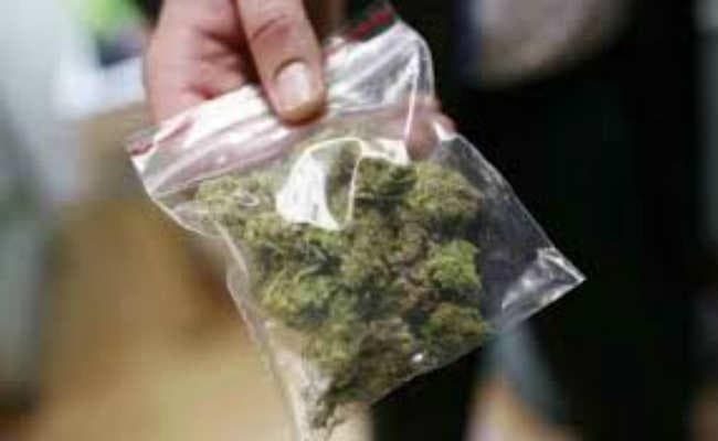 गांजा का व्यवसाय करने के मामले में दोषी करार