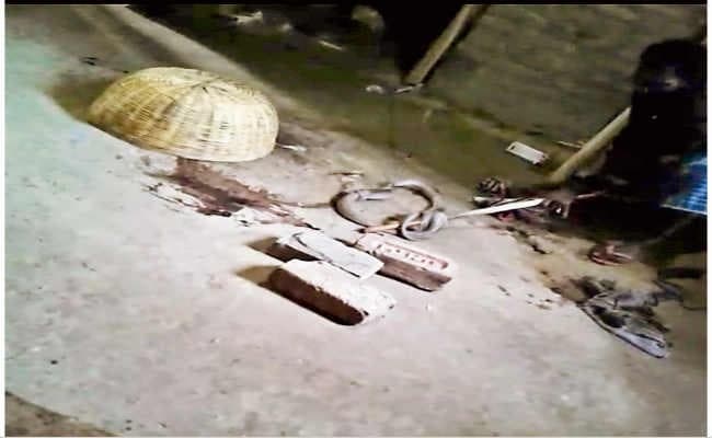 नाग-नागिन से घंटों संघर्ष कर नागिन को रस्सी से बांधा, डंसने से मौत
