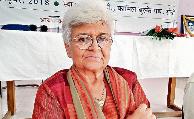 रांची : पितृसत्तात्मक व्यवस्था पुरुषों को हिंसक बनाती है : भसीन