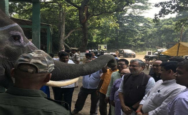 पर्यटकों के लिए वाल्मीकि नगर में बढ़ी सुविधाएं, किराये में 50 प्रतिशत की कमी