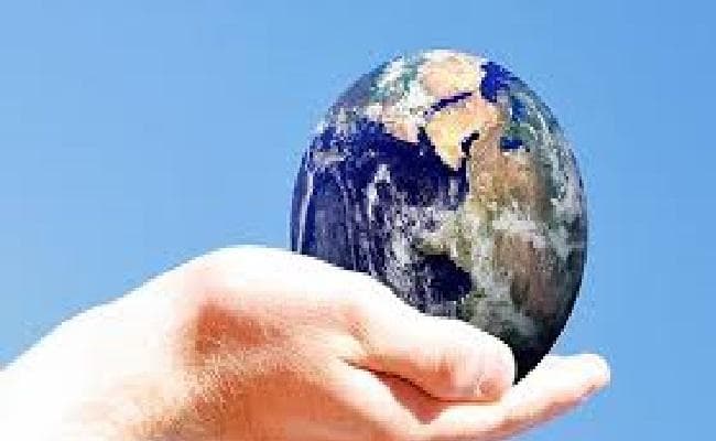 जलवायु संरक्षण के लिए शाकाहारी बनें, अध्ययन से हुआ खुलासा