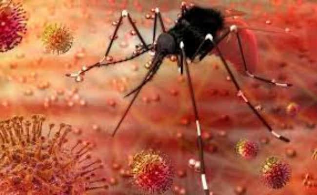 जिका वायरस को लेकर देवघर में अलर्ट जारी, राजस्थान में 22 की हो चुकी है मौत
