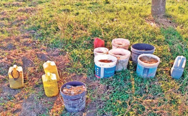 मालदा के गांव में मिला बमों का जखीरा