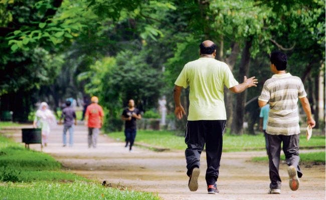 बेहतर जीवन के लिए दिमाग, शरीर और लाइफ स्टाइल में संतुलन जरूरी, अपनाएं खुशी के ये मंत्र