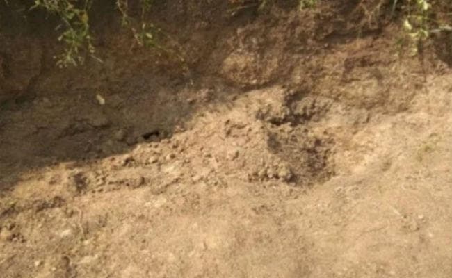 मप्र : मिट्टी की खदान धंसने से तीन बच्चों की दर्दनाक मौत