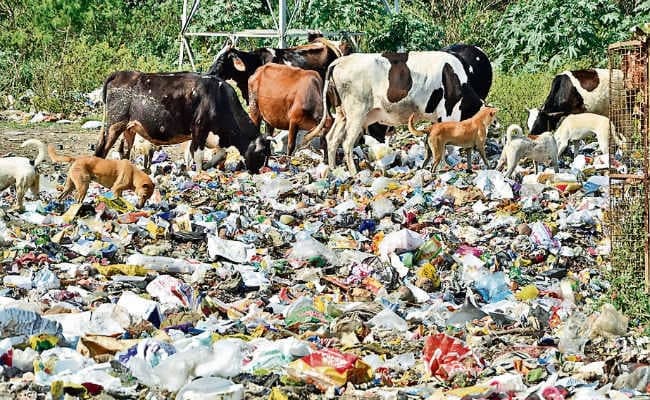 रांची : दूसरे दिन भी हड़ताल पर रहे सफाई कर्मी