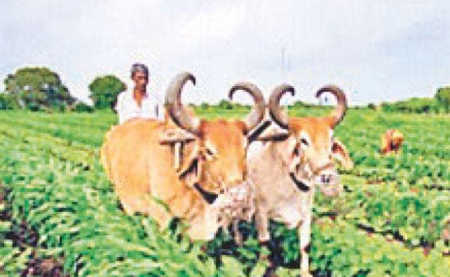 जैविक कलस्टर को बढ़ावा देने के लिए केंद्र से सहयोग लेगा बिहार