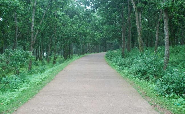 रांची में सर्दी ने दी दस्तक, अभी और गिरेगा तापमान