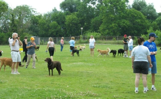 हैदराबाद में 1 करोड़ की लागत से कुत्तों के लिए खुला देश का पहला ''डॉग पार्क''