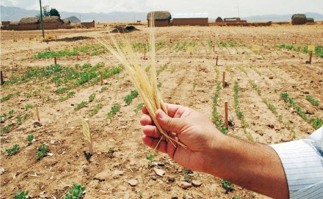 जलवायु परिवर्तन का खतरा : 2050 में दुनिया को भुखमरी से बचाना है, तो करना होगा यह काम