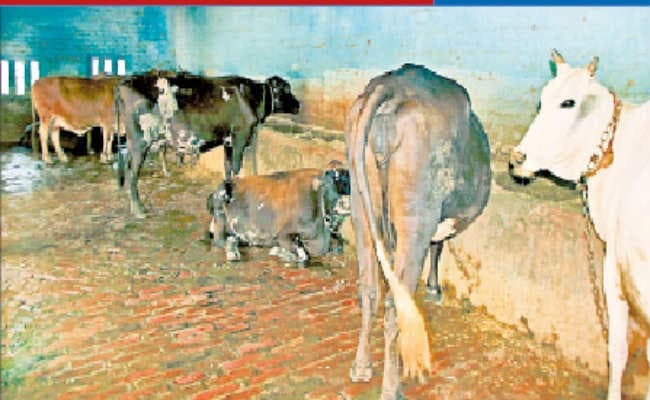 संघर्ष समिति ने कहा कमाई बंद कर सेवा करें, प्रबंधन समिति ने कहा अफवाह नहीं, मदद करें