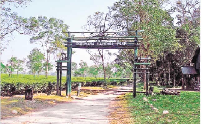 शिकारियों की खबर से गोरूमारा जंगल में हाई अलर्ट, भाग को मिली तीर-धनुष से लैस शिकारियों की अपुष्ट जानकारी