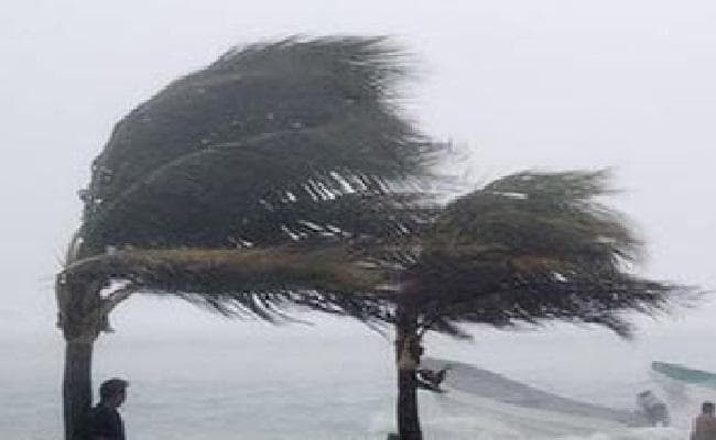 मेक्सिको के तट पर पहुंचा तूफान विला