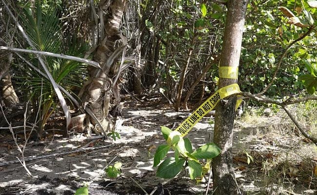 हादसा या हत्या! : झारखंड में शिकार करने गये चचेरे भाई को जंगली सूअर समझकर गोली मार दी