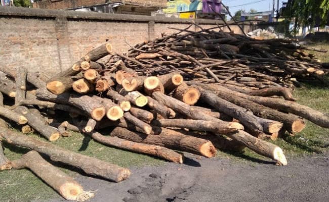 बड़कागांव : हुदवा जंगल से सवा लाख रुपये वैल्‍यू की अवैध कटी हुई लकड़ी जब्त