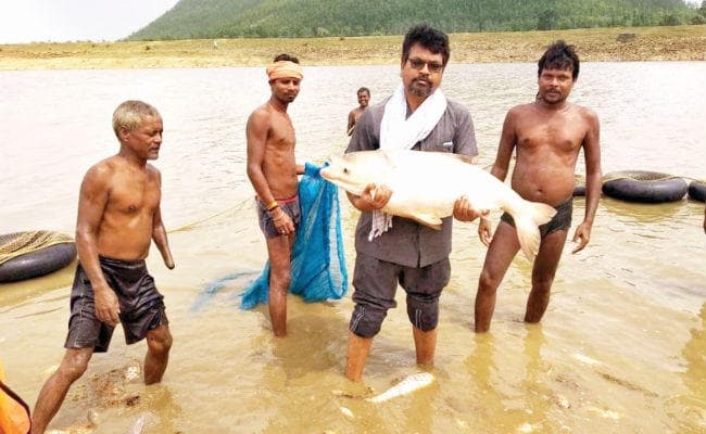 पानी की खेती का अब नया नारा जहां मिले पानी, वहां मछली रानी