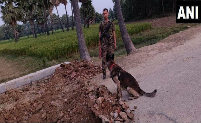 नक्सलियों ने सुरक्षाबलों को उड़ाने की रची थी साजिश, अर्द्धसैनिक बल ने मंसूबे को किया नाकाम