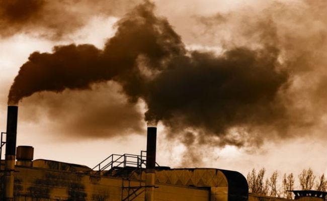 Green Peace India की सलाह : वायु प्रदूषण बच्चों के स्वास्थ्य के लिए सबसे बड़ा खतरा, सरकार को उठाने होंगे सख्त कदम