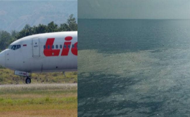 इंडोनेशिया विमान हादसे में भारतीय पायलट सहित सभी 189 लोगों की मौत