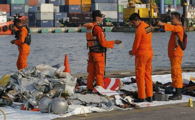 #indonesiaplanecrash : और मानव अवशेष मिले, दस बैग भरे, तलाश जारी