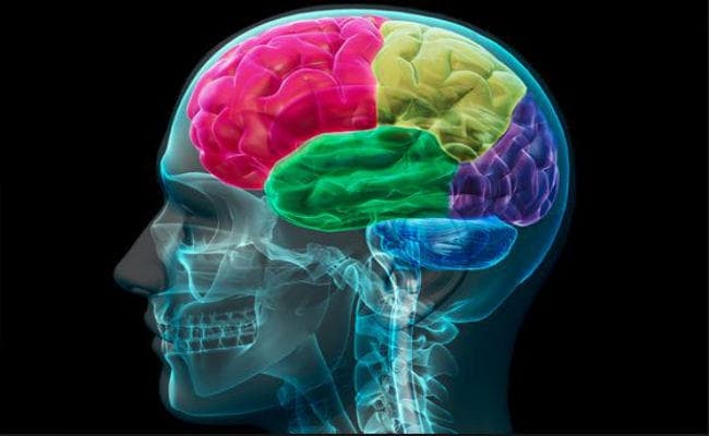 Research : बड़े सिर वालों को ब्रेन कैंसर का खतरा ज्यादा, जैसे बड़े स्तनों वाली महिला को होता है ब्रेस्ट कैंसर का ज्यादा खतरा