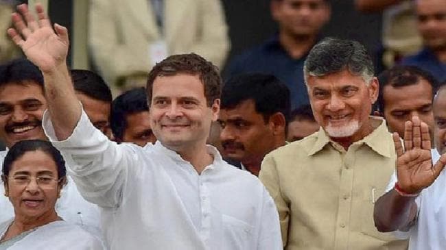 चंद्रबाबू नायडू से मुलाकात के बाद बोले राहुल गांधी, भाजपा को मिलकर हरायेंगे