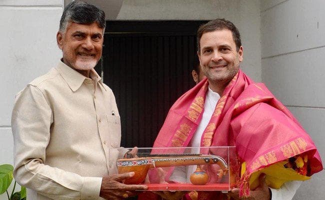 राहुल से मिले नायडू, कांग्रेस अध्यक्ष ने कहा - भाजपा को हराने के लिए विपक्ष को एकजुट होना होगा