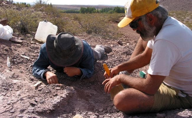 अर्जेंटीना में नयी सारापोड प्रजाति के डायनासोर की खोज