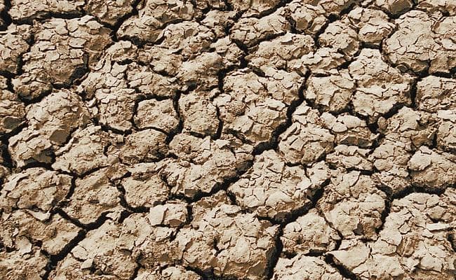बिहार में 23 जिलों के 206 प्रखंड सूखाग्रस्त घोषित