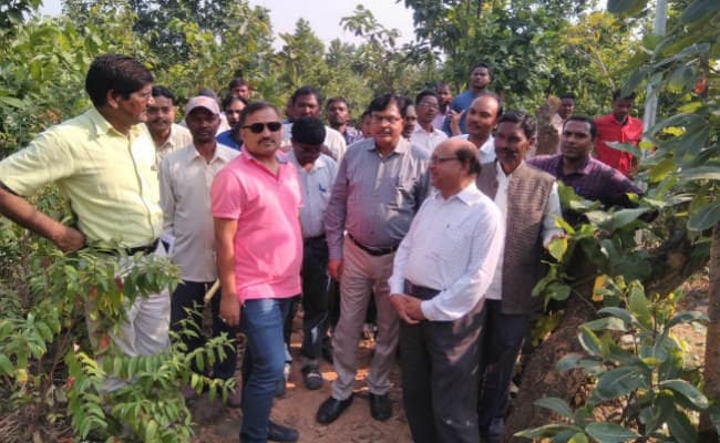 डीडीसी ने ललपनिया पहुंचकर लिया सरना महाधर्म सम्मेलन की तैयारियों का जायजा, समीक्षा बैठक की