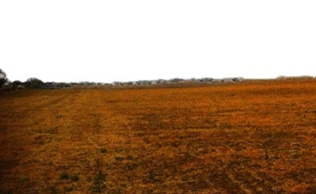 देवघर में अफसरों की बीवियों ने खरीदी जमीन, सरसा मौजा में बन रहा अफसर कॉलोनी