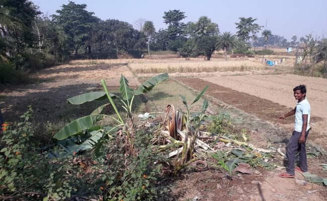 बड़कागांव : आश्वासन के बाद हटा सड़क जाम, वन विभाग की ओर से परिजनों को मिलेगा 4 लाख मुआवजा