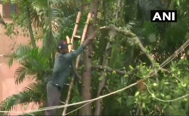 तमिलनाडु पहुंचा चक्रवातीय तूफान ‘गज'', रफ्तार 120 किलोमीटर