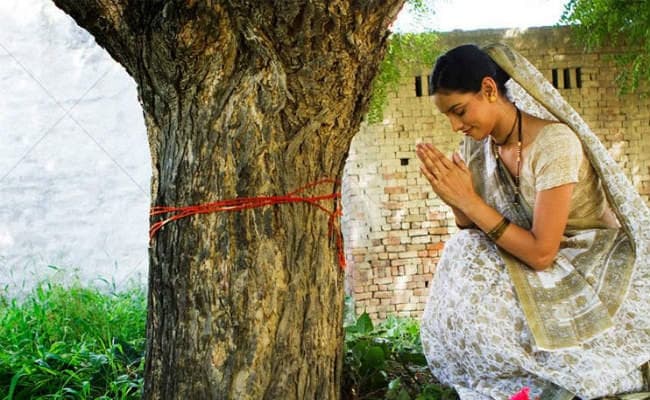 खरसावां : आंवला नवमी पर महिलाओं ने की आंवला वृक्ष की परिक्रमा