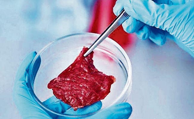 अब थाली में परोसा जायेगा लैब में बना मीट, 2025 तक भारत में होगा उपलब्ध