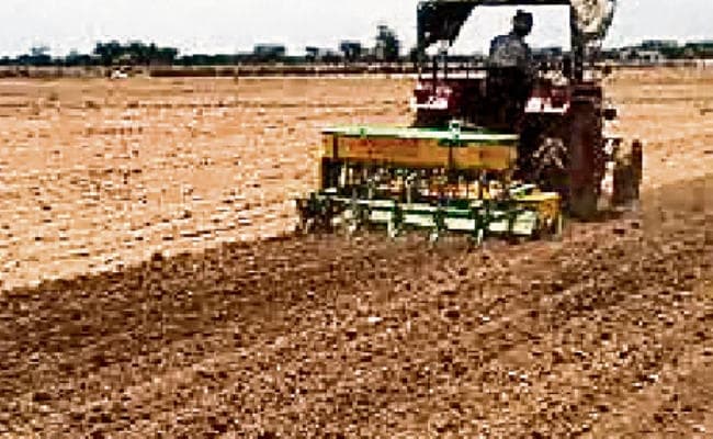 मुजफ्फरपुर : 30 नवंबर तक गेहूं की खेती के लिए उपयुक्त समय, पटवन कर ही करें गेहूं की बोआई