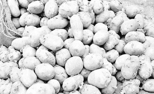 कोलकाता : चार राज्यों से आलू के बीज मंगवाने पर बैन