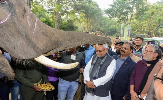 सीएम नीतीश ने वाल्मीकिनगर में इको-टूरिज्म के बढ़ावे पर दिया जोर, साइकिल सफारी का किया शुभारंभ