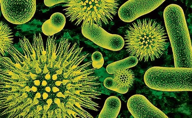 ‘सुपरबग’ से सबसे ज्यादा मौतें भारत में, 2050 तक 2.4 मिलियन लोगों की जा सकती है जान, जानें इसके बारे में