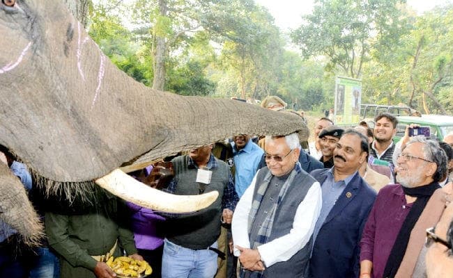 CM नीतीश को मिला ''गणेश'' से आशीर्वाद, झमटा-झूमर नृत्य देख वनवासियों के मुरीद हुए मुख्यमंत्री