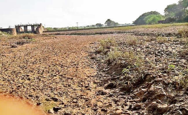 कभी फसलों की बुझती थी प्यास, अब खुद पानी की तलाश